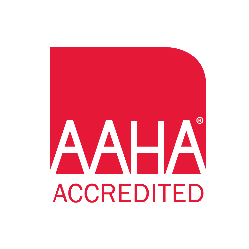 red aaha logo in white circle