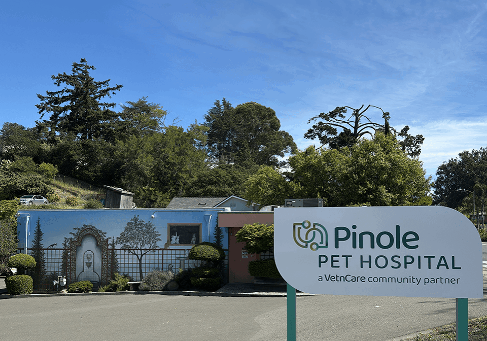 exterior of pinole pet hospital building and sign